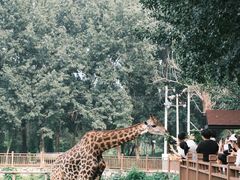 -北京野生动物园