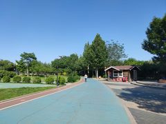 -太阳宫公园