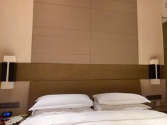 -扬州绿地铂骊酒店