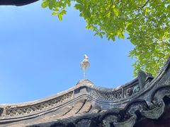 -上海醉白池公园