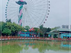 -凤岭儿童公园