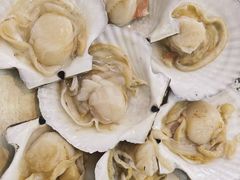 超大扇贝-震海贝烤贝·民俗特色店(延吉总店)