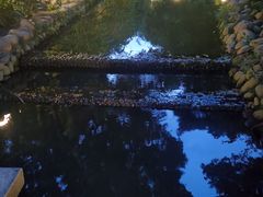-成都市活水公园