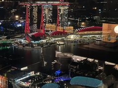 -新加坡瑞士史丹福酒店