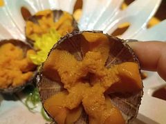 -原志优秀食材·匠心料理·海胆主题(金亿广场店)