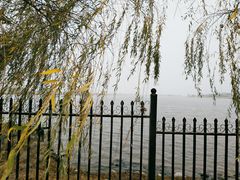 -渭河城市绿地运动公园