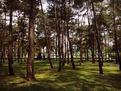 Club&nbsp;Med桂林-Club Med地中海俱乐部·桂林度假村