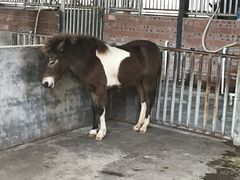 -迪茵湖田家舍生态农场