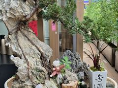 -若蘭慈·无国界素食料理(欢乐海岸店)
