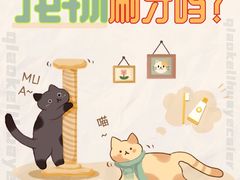 -心语宠物医院·急重症转诊中心·瑞辰华诺(南青路店)