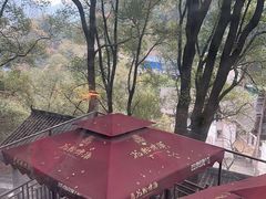 -巴倒烫陆派火锅山庄(南山总店)