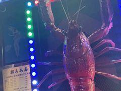 -红钳侠小龙虾·烧烤(中赢康康谷店)