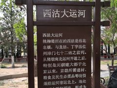 -桃花堤公园