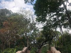 -九龙公园