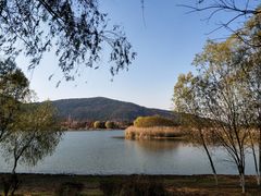 -长广溪湿地公园