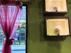 -小娘惹厨房Little Nyonya(狮城有约上榜店)