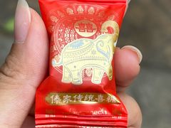 -西双版纳傣族园