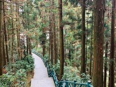 -井冈山风景名胜区