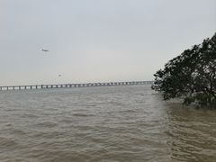 -宝安西湾红树林湿地公园