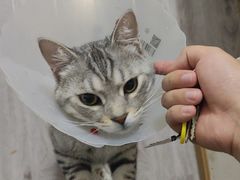 -联合动物医院(光谷诊疗中心)
