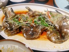 清蒸黄丁斑-鱼篮仔·潮汕美食(圆明新园店)