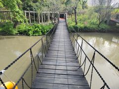 -南汇桃花村