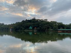 -深圳仙湖植物园