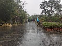 -龙门水都景区