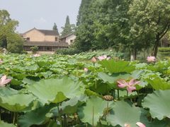 -乌村