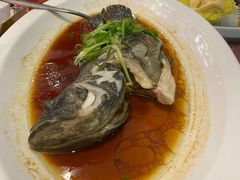 -欢乐海岸美食联盟