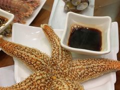 -鲁前海沿儿