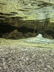 -Zoolung Zoolung动物主题公园(海信广场店)