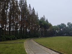 -江心屿景区