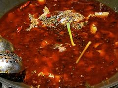 油泼麻辣锅-吃城都·鱼蛙火锅(西玉龙街店)