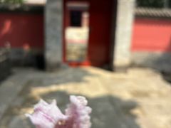 -承恩寺