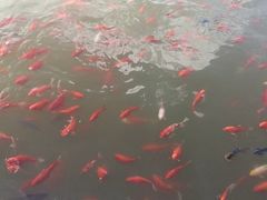 -西宁市人民公园(城西区)