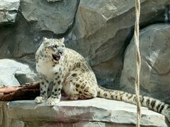 -青藏高原野生动物园
