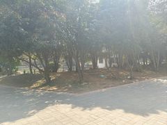 -西苑公园
