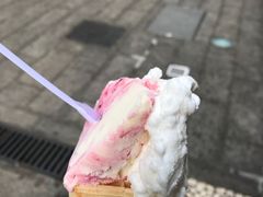 -柠檬车露(卖草地店)