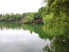 -铜锣湾·有麝自然香(渝北财富中心店)