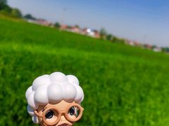 -白洋淀景区