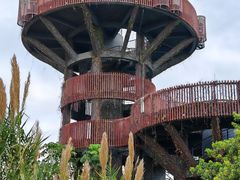 -芒洲湿地公园