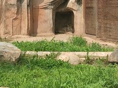 -沈阳森林动物园