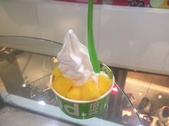 -Salud撒露欧洲冻酸奶(北苑上品店)
