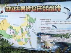 -广州长隆飞鸟乐园
