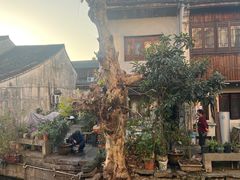 -绍兴书圣故里景区