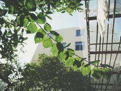 -陶享时光西餐·下午茶·竹林花园(新城店)