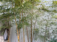 -拙政园