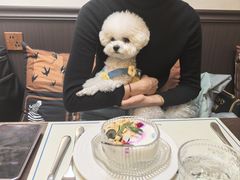 -沏点Trattoria意大利餐厅(新街口店)