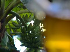 -垚慈居素食(华发新城店)